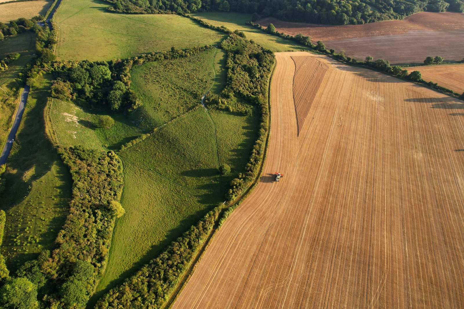 Aerial view of field patterns