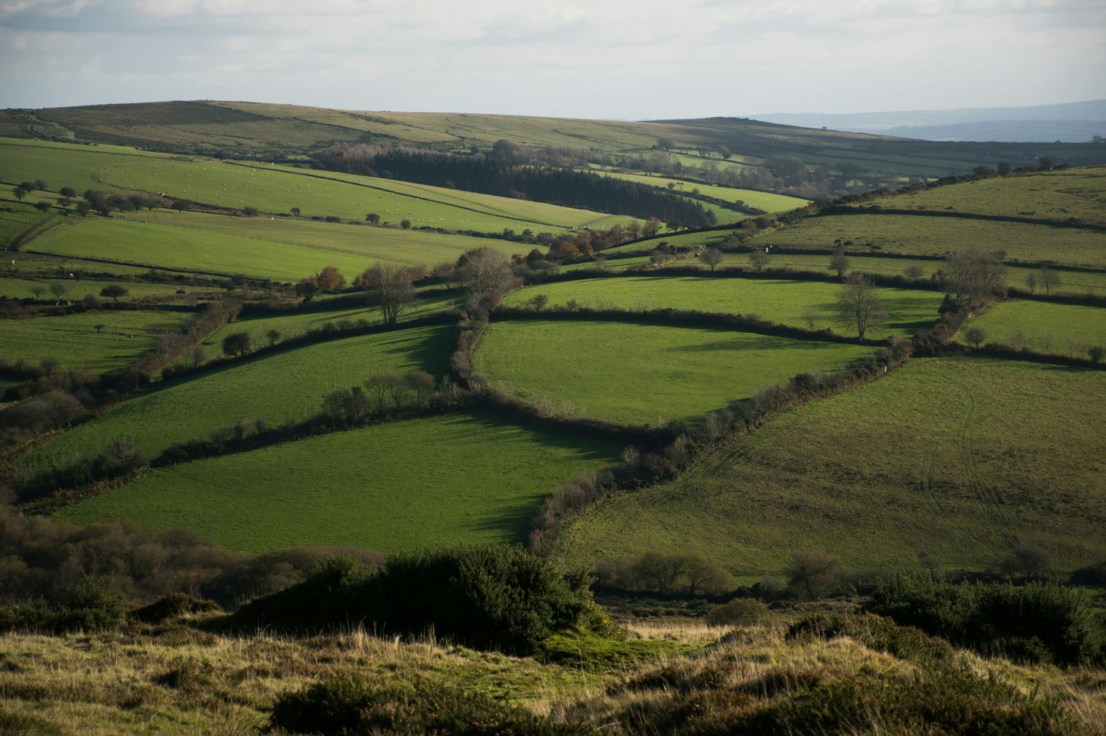 Wooded hillside above farmland