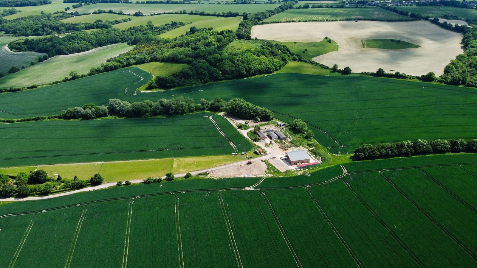 Aerial view of green farmland