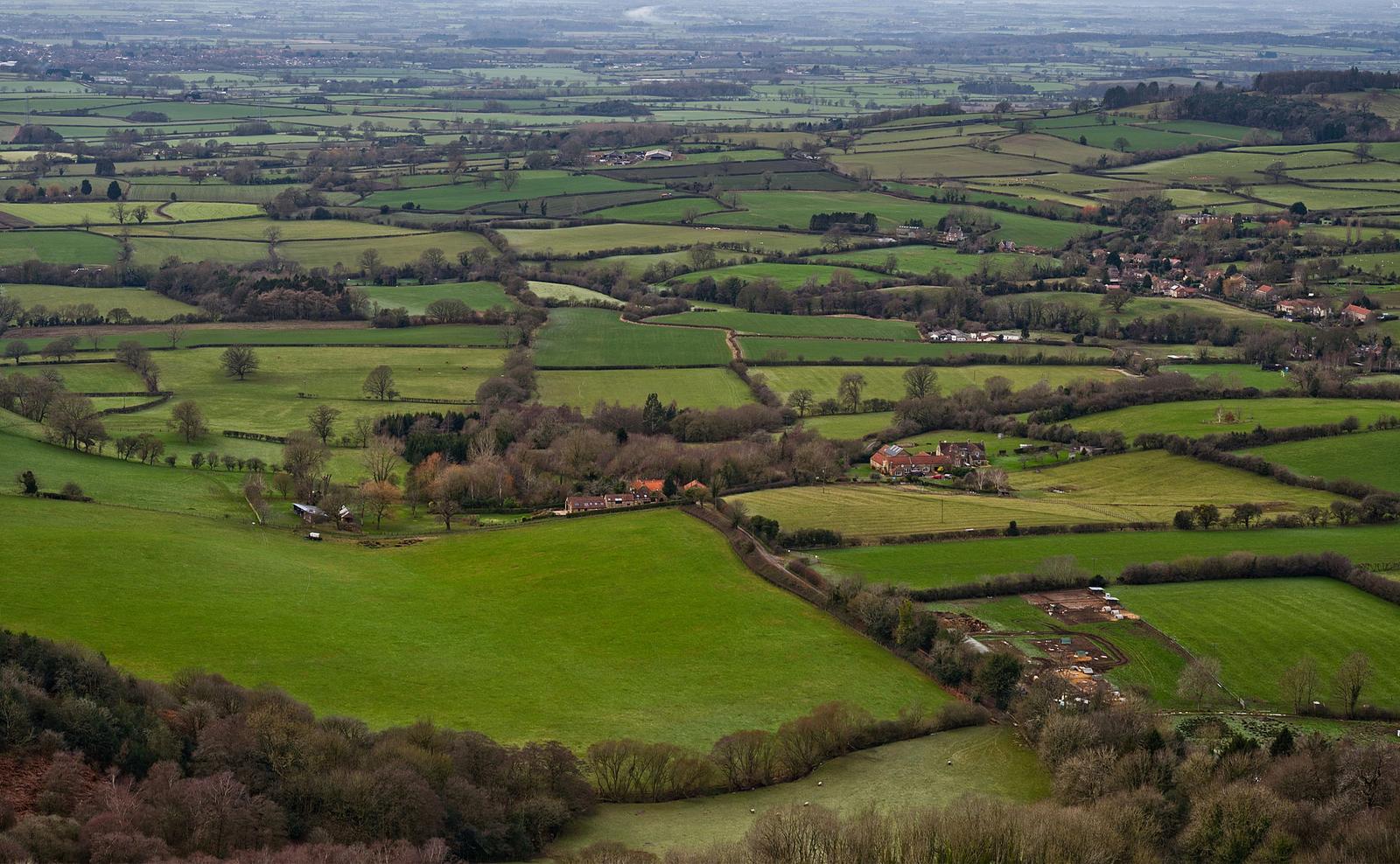 Aerial view of fields and hedgerows